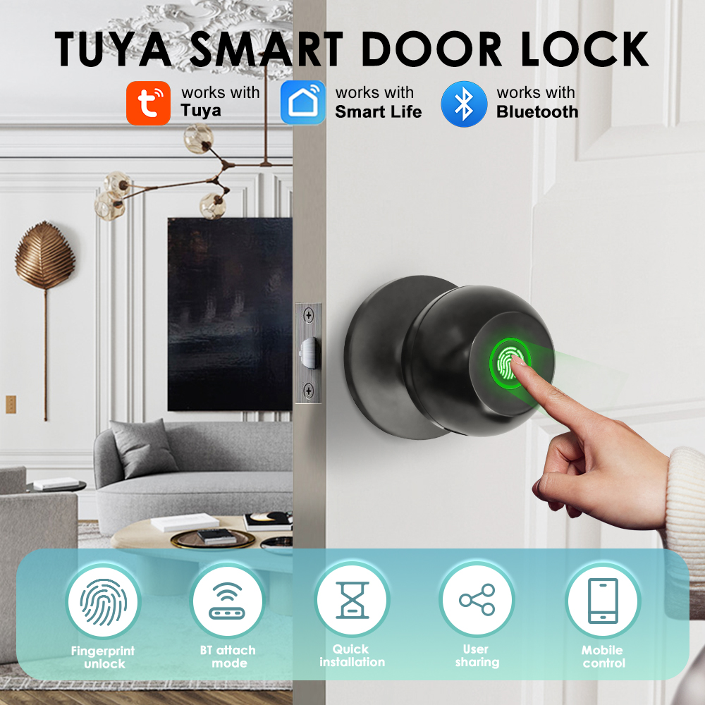 Home Security Key - Tuya Serratura elettronica Serratura esterna intelligente