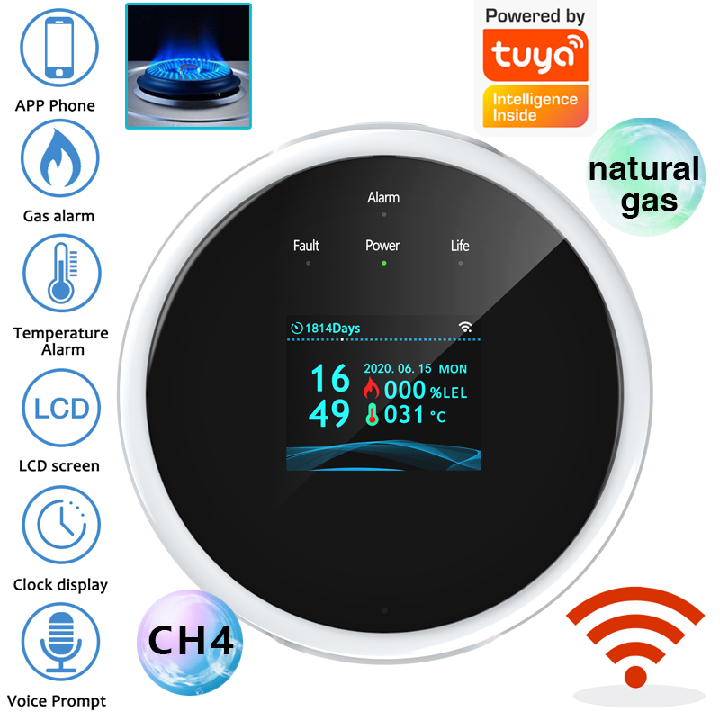 Home Security Monitoring - Sensore di Allarme Gas WiFi 2.4G,