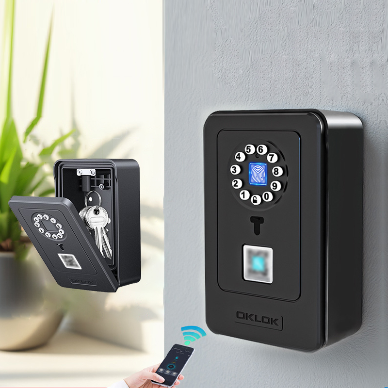 Home Security Key - Cassetta di Sicurezza Intelligente con Design