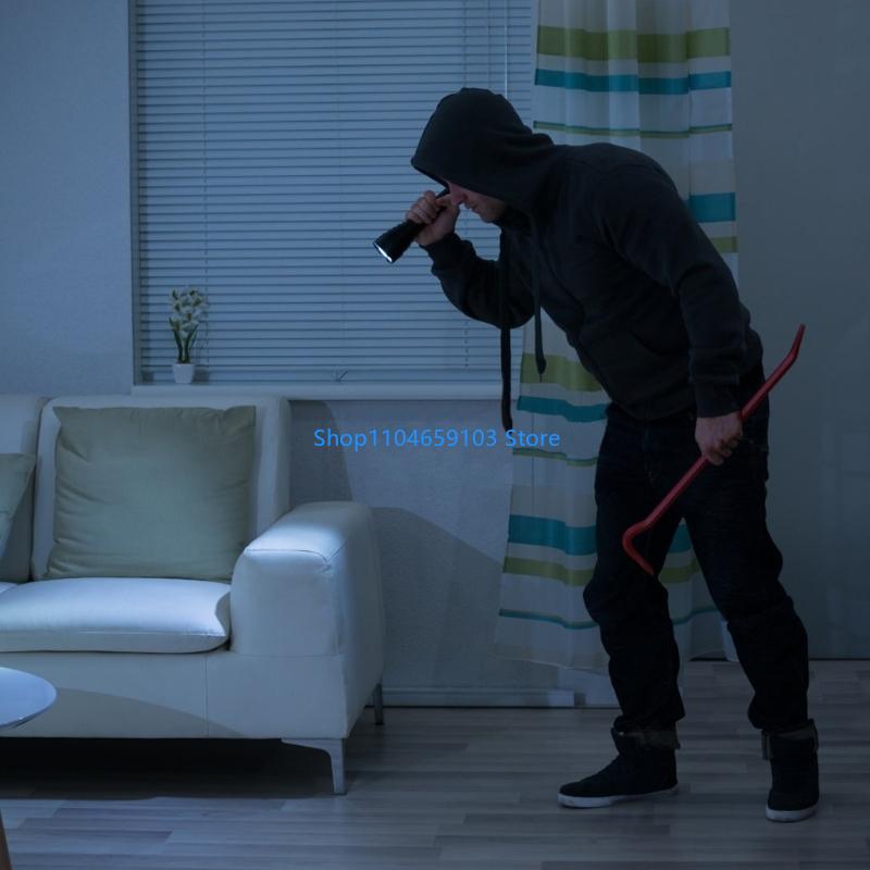 Telecamera sicurezza finta ali - Home Security Indoor Cameras recensione e prezzo