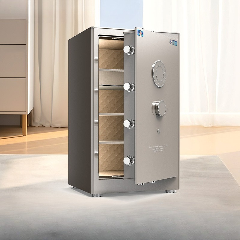 /Scatola di sicurezza con prot - Home Security America recensione e prezzo