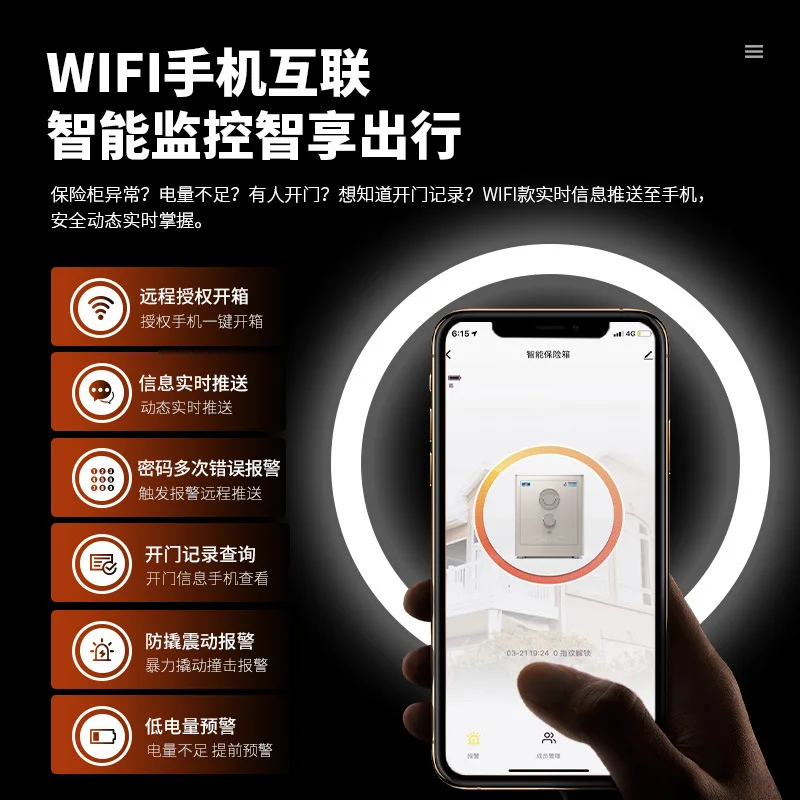 Cassetta di sicurezza con prot - Home Security America recensione e prezzo