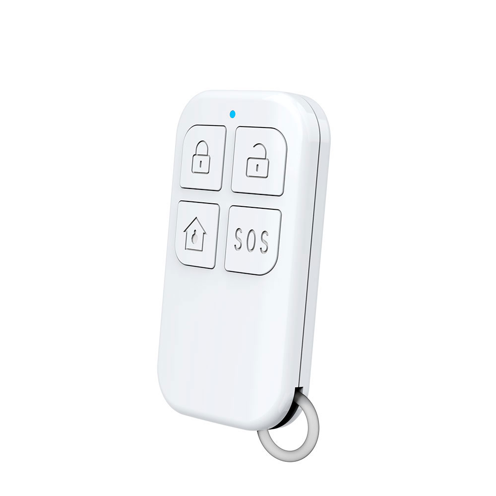 Rilevatore di telecomando wire - Home Security System recensione e prezzo