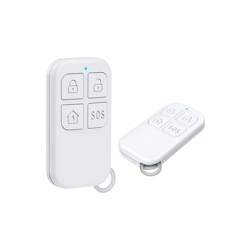Rilevatore di telecomando wire - Home Security System recensione e prezzo