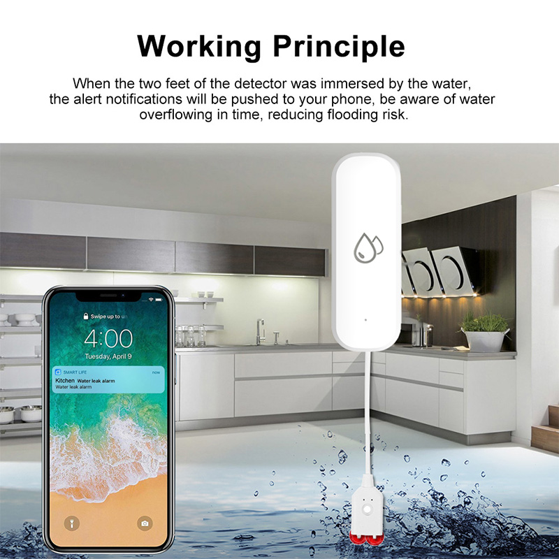 Sensore Allarme Perdite d'Acqu - Home Security Monitoring recensione e prezzo