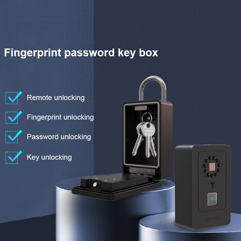 Cassetta di Sicurezza Intellig - Home Security Key recensione e prezzo