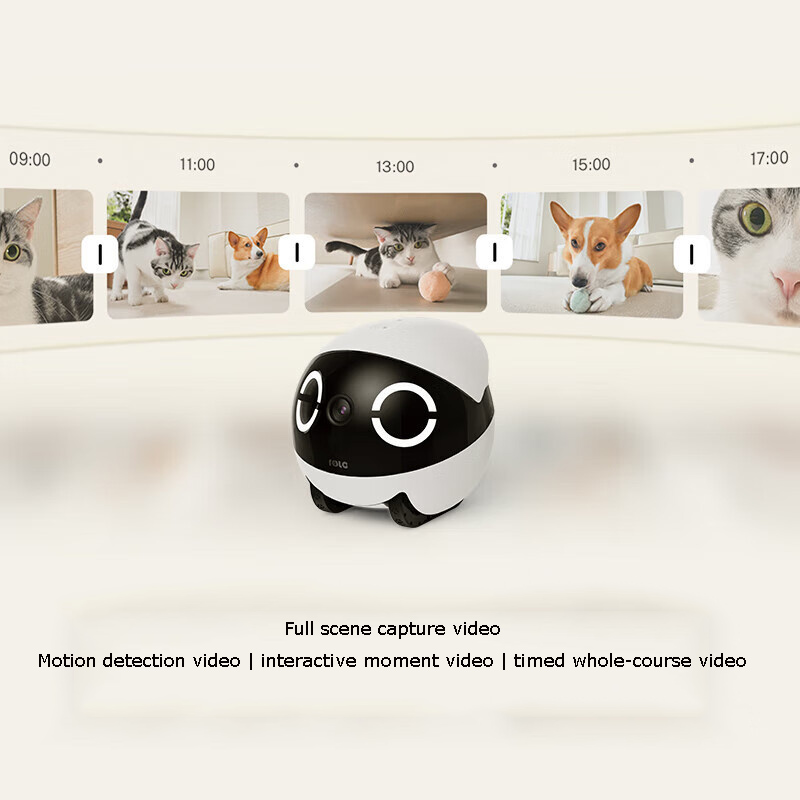 Robot Compagno per Animali Dom - Home Security Robots recensione e prezzo