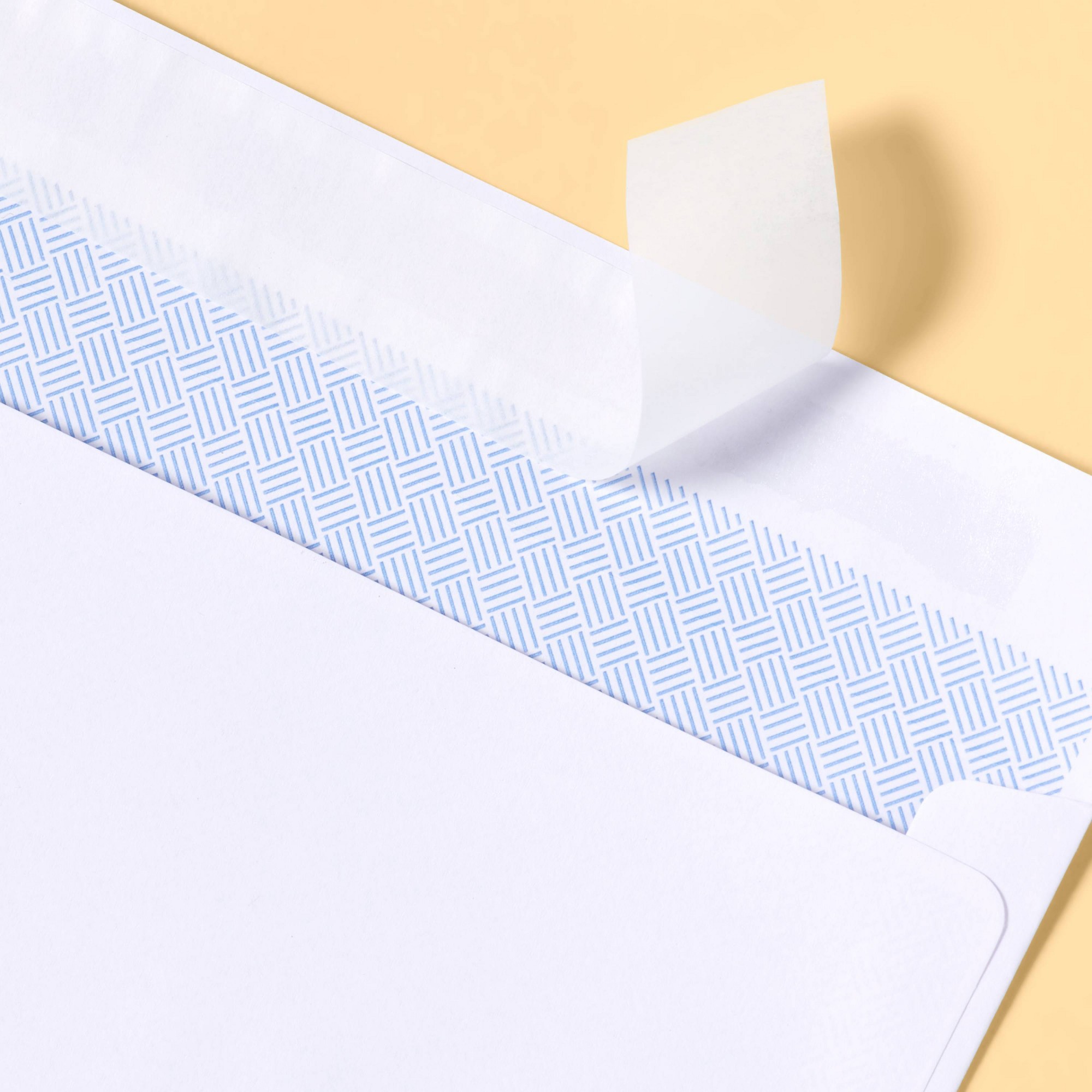 110 buste di sicurezza con chi - Home Security Letters recensione e prezzo